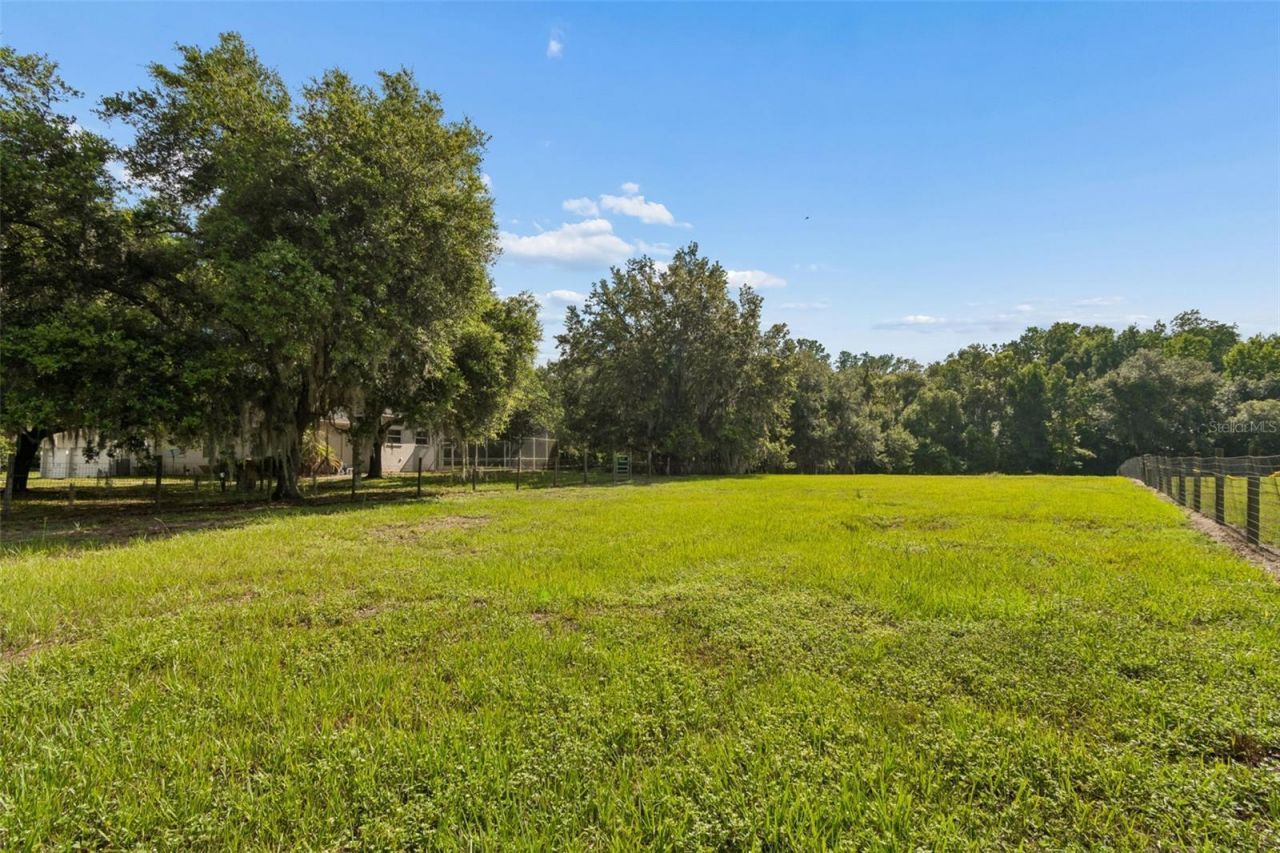 35841 Midden Path , Zephyrhills, FL 33541 Photo