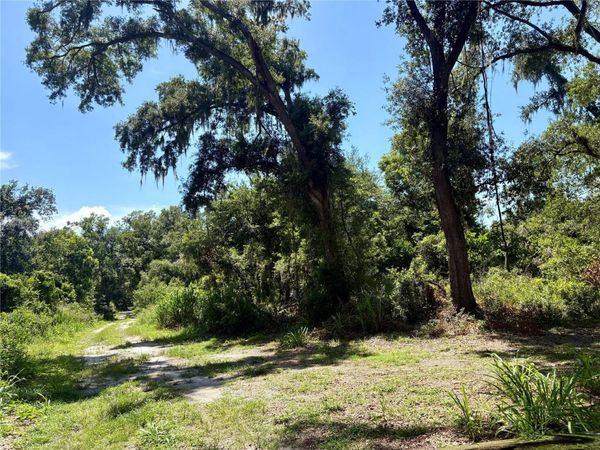 SYDNEY WASHER ROAD , DOVER, FL 33527
