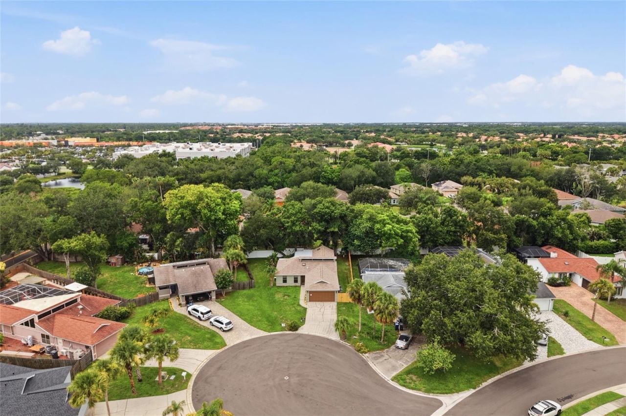 8232 Country Oaks Court, Sarasota, FL 34243 Photo
