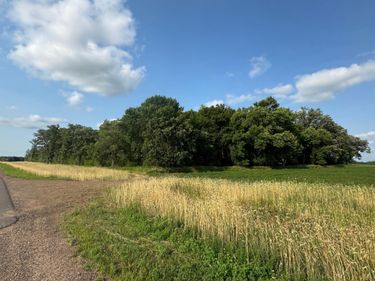xxx 165th Avenue NE, Foley, MN 56329