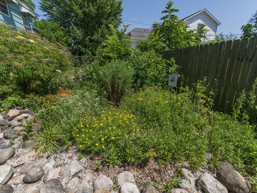 Property Image 41