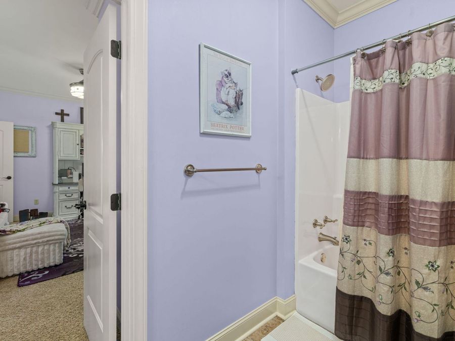 Property Image 41