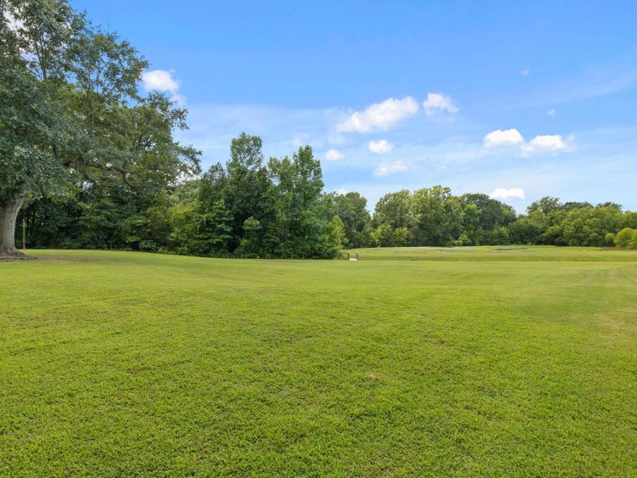 Property Image 64