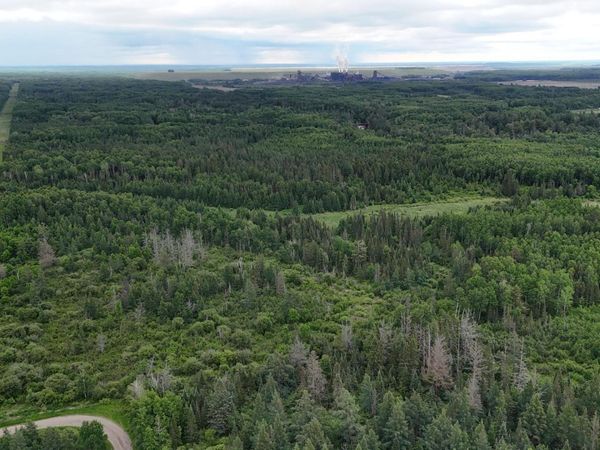 TBD Quaal Road , Forbes, MN 55738