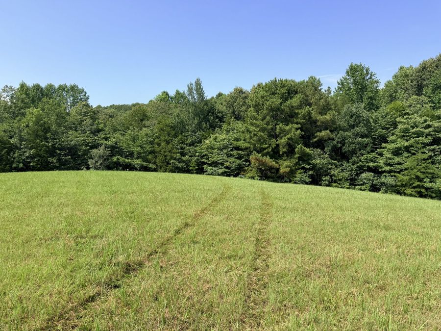 Property Image 45