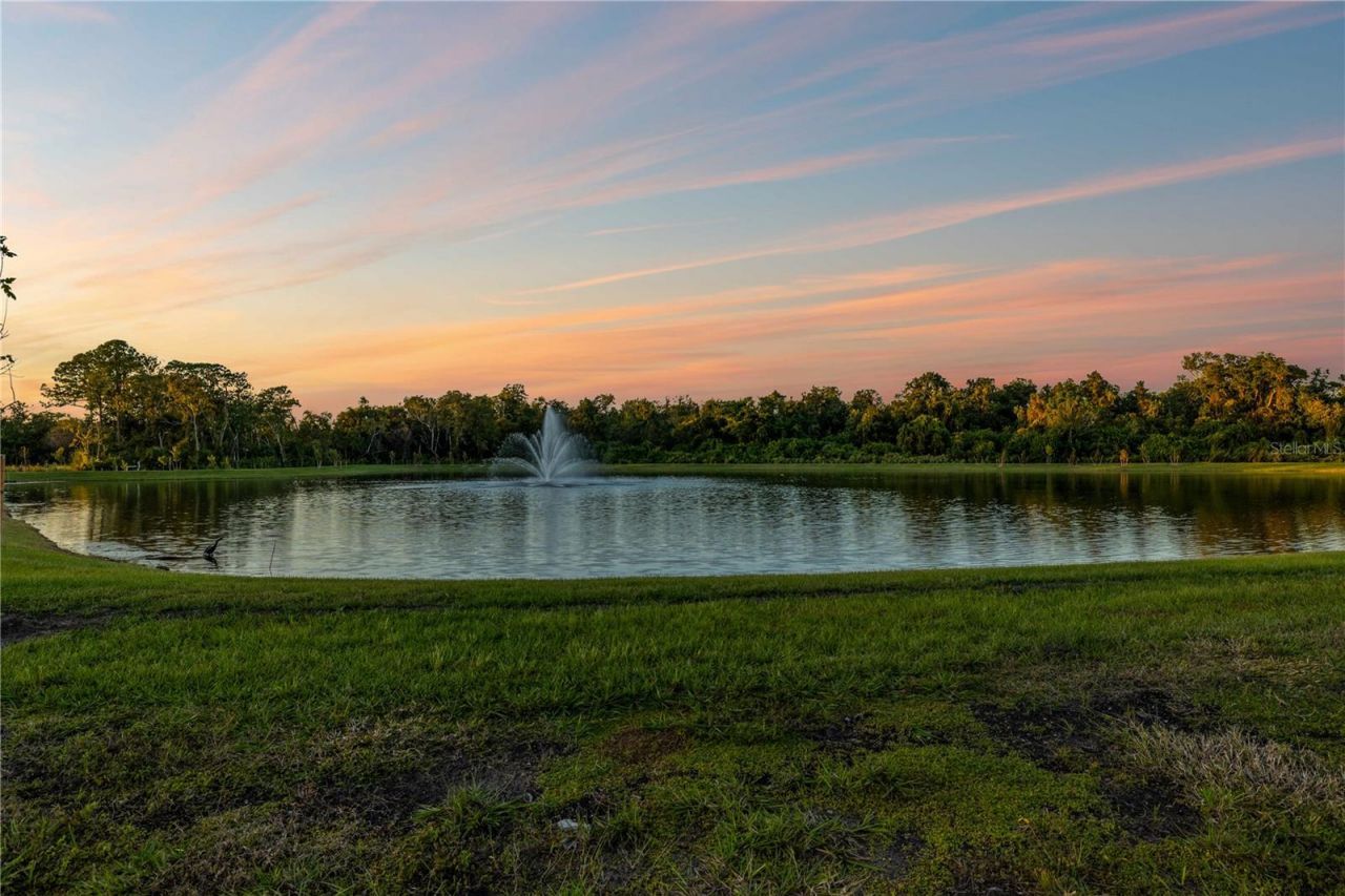 682 Bottlebrush Way, Tarpon Springs, FL 34688 Photo