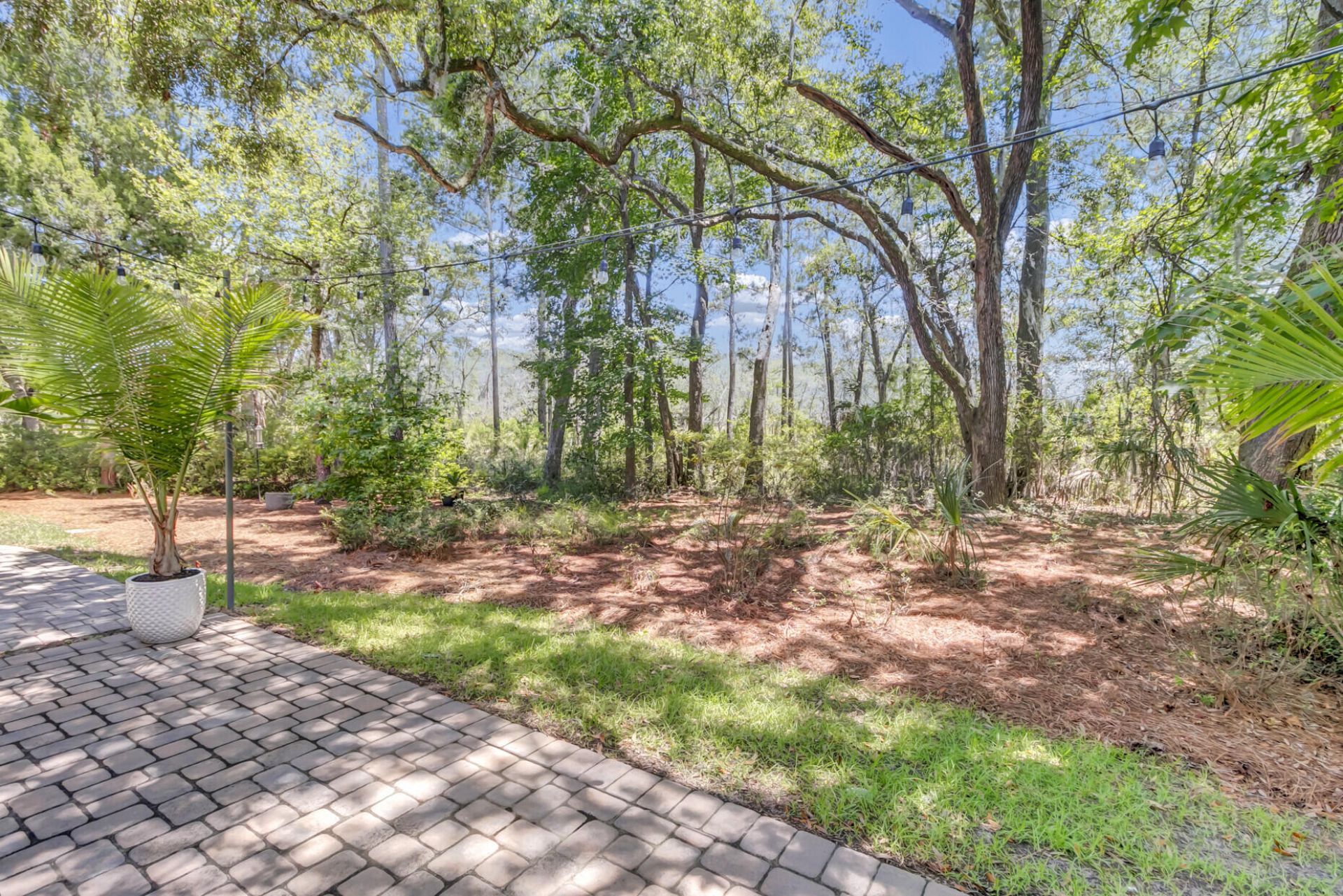 152 Cowrie Court Photo 39