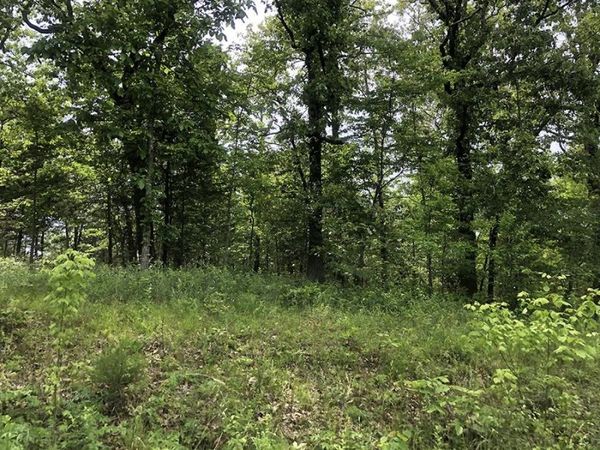 Assiniboin Lane , Cherokee Village, AR 72529