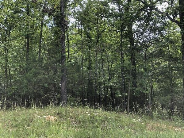 1608 Adams Circle , Horseshoe Bend, AR 72512
