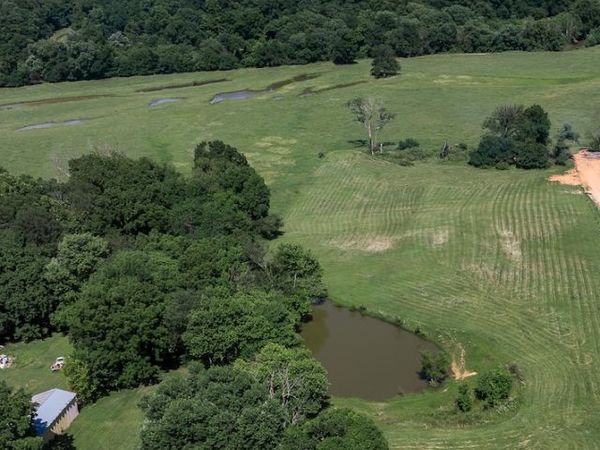 11362 Jim Hall CR601 Road, Prairie Grove, AR 72753