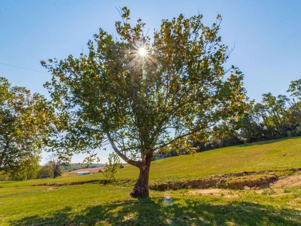 2 Chapparal Road, West Union, OH 45693