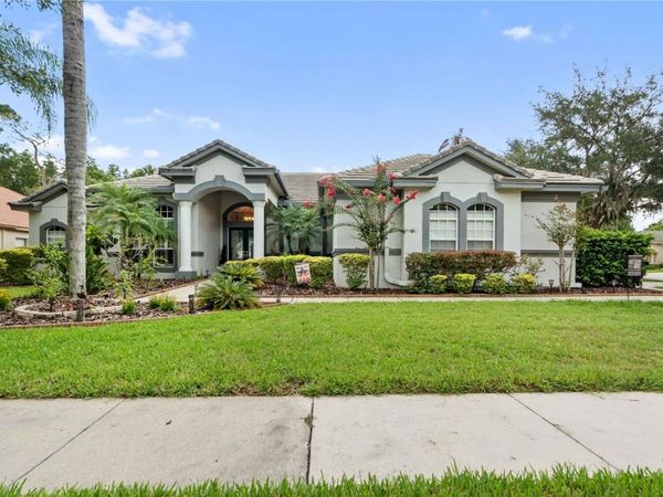 21127 LAKE VIENNA DRIVE , LAND O LAKES, FL 34638