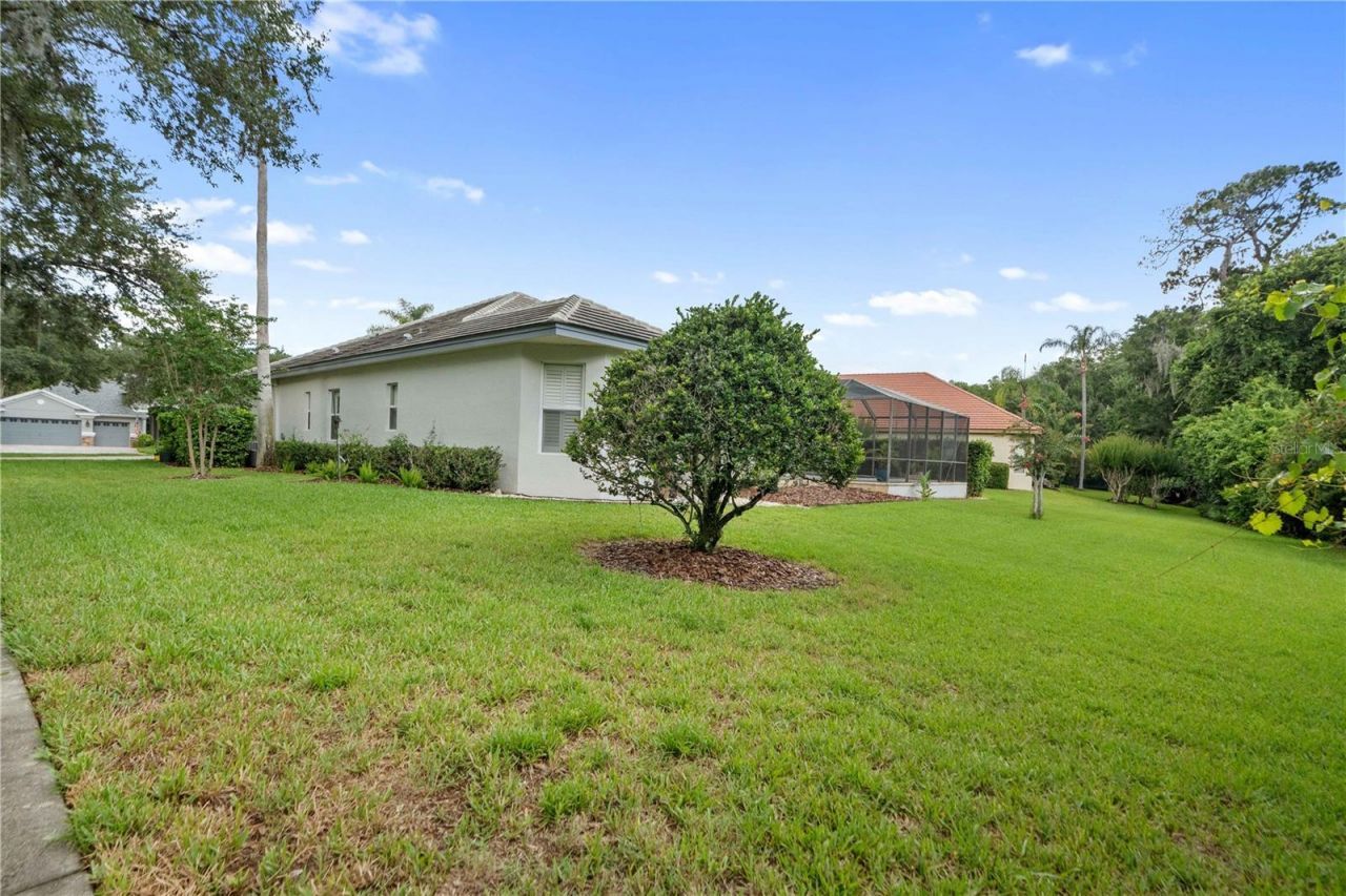 21127 Lake Vienna Drive , Land O Lakes, FL 34638 Photo