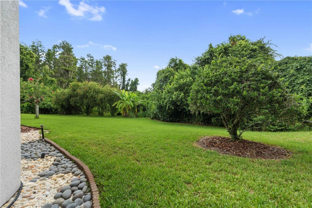 21127 Lake Vienna Drive , Land O Lakes, FL 34638 Photo