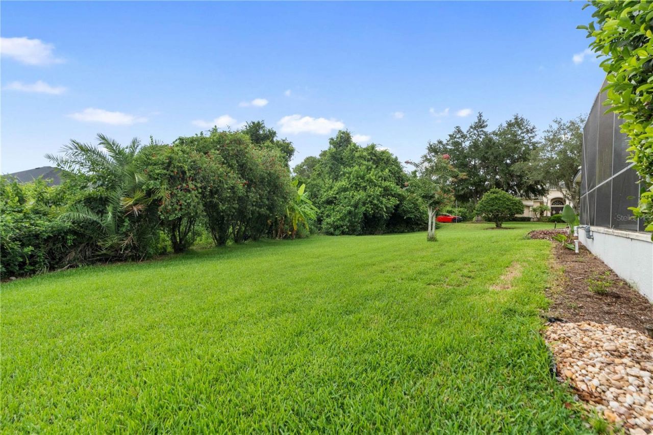 21127 Lake Vienna Drive , Land O Lakes, FL 34638 Photo