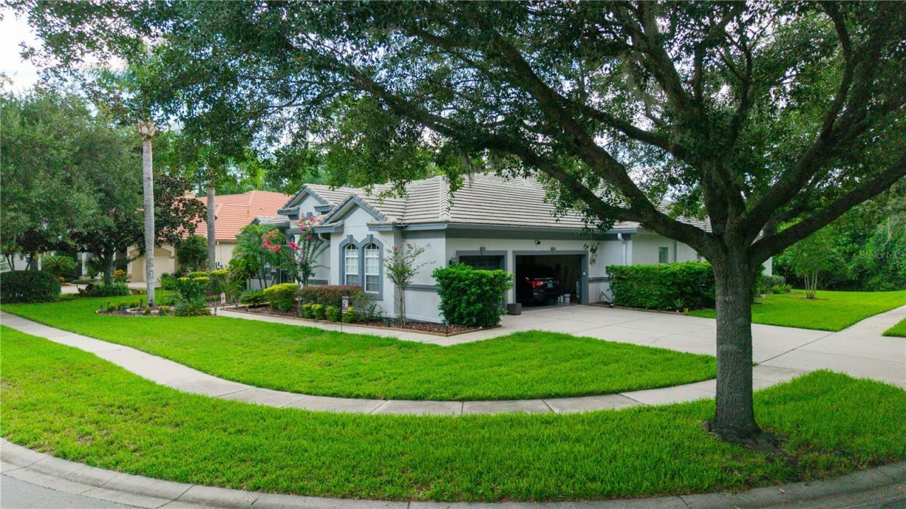 21127 Lake Vienna Drive , Land O Lakes, FL 34638 Photo