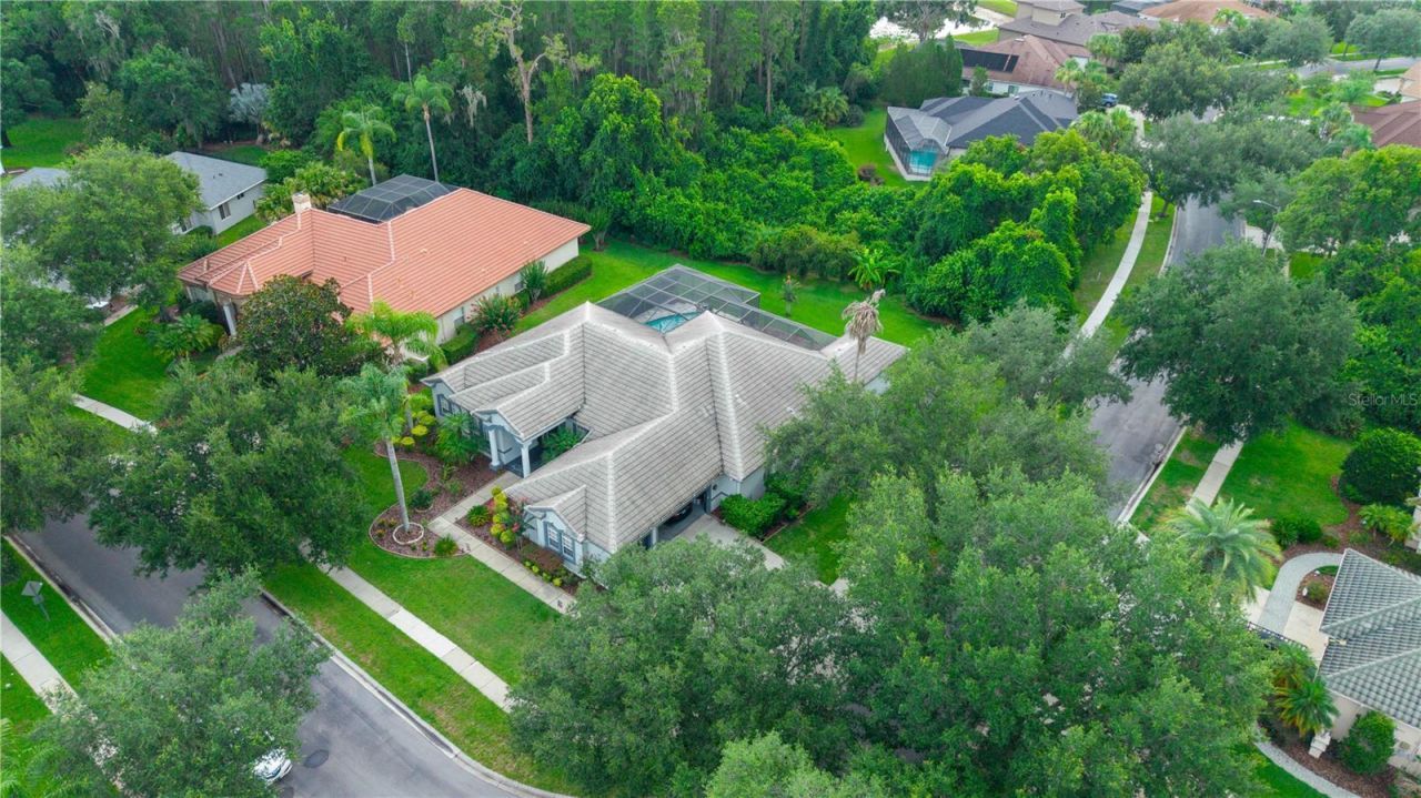 21127 Lake Vienna Drive , Land O Lakes, FL 34638 Photo