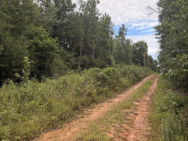 0000 Candy Lane, McComb, MS 39648