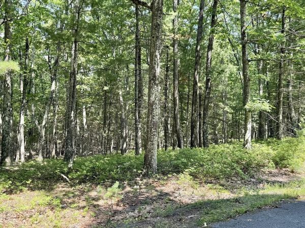 Lot 45 Soose Way , Tafton, PA 18464