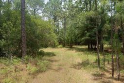 Lot 1074 Duany Dr. photo 4