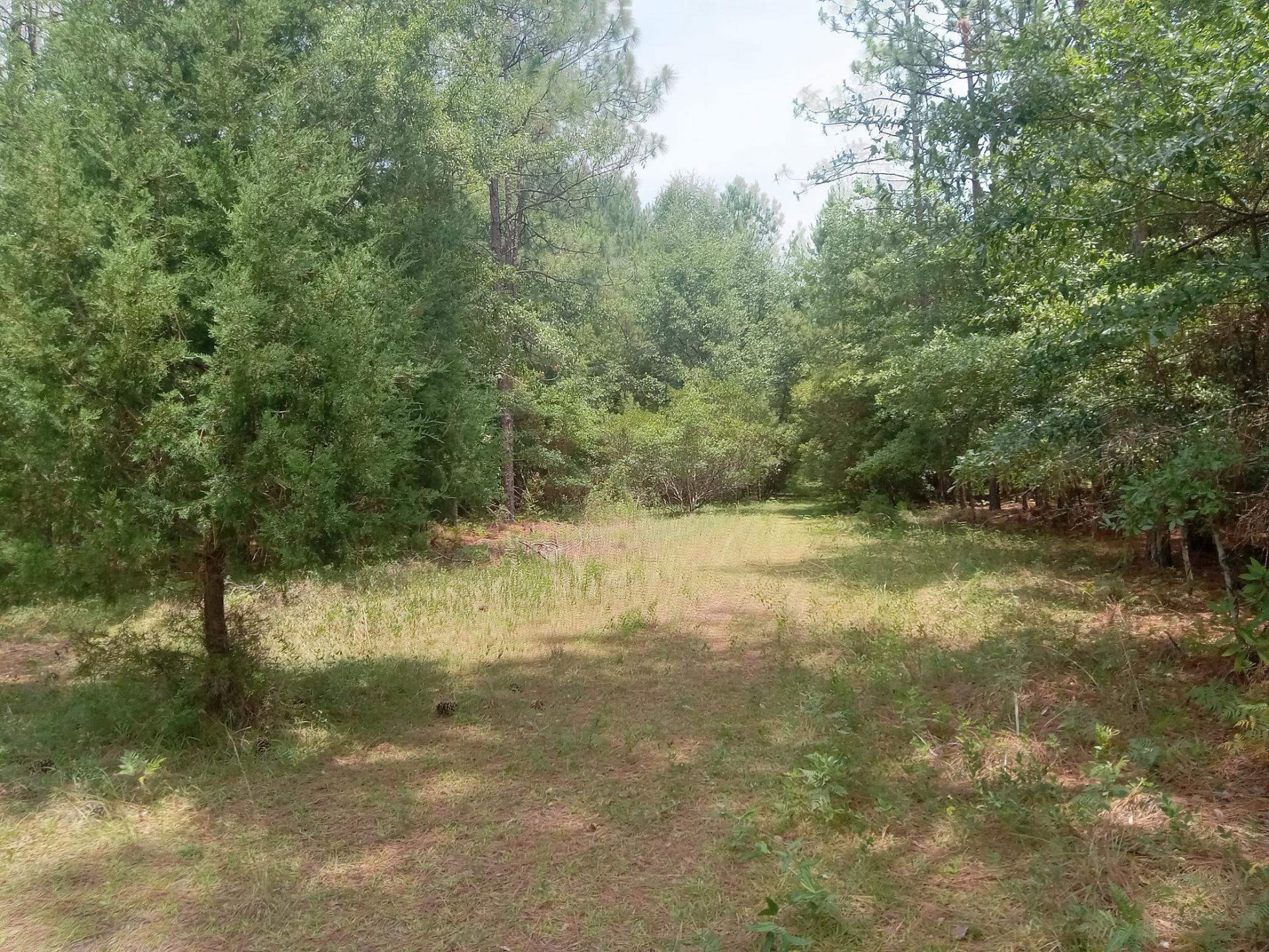 Lot 1074 Duany Dr. Photo 4