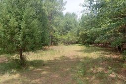 Lot 1074 Duany Dr. photo 4