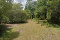 Lot 1074 Duany Dr. photo 4
