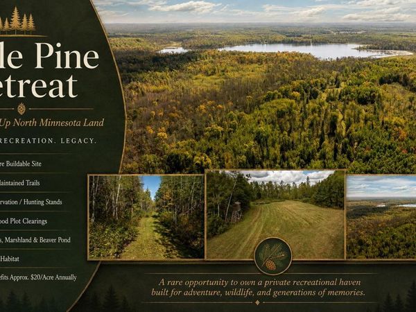 384 Acres TBD Little Pine Road, Emily, MN 56447