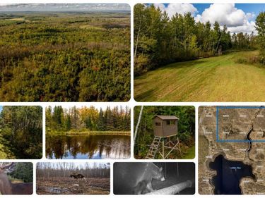 384 Acres TBD Little Pine Road , Emily, MN 56447