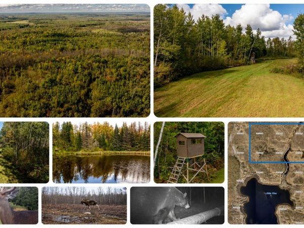 384 Acres TBD Little Pine Road , Emily, MN 56447