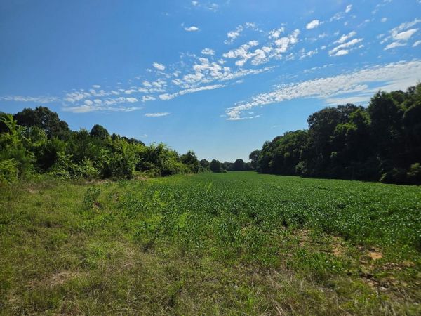 003 Old Jackson Road , Trenton, TN 38382