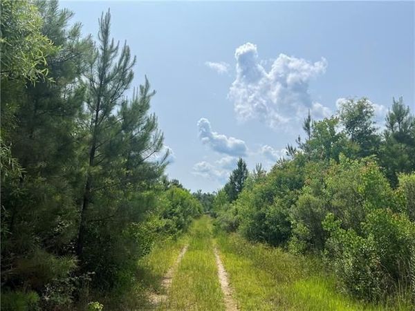 1439 LEONARD CHAPEL Road , Independence, LA 70443