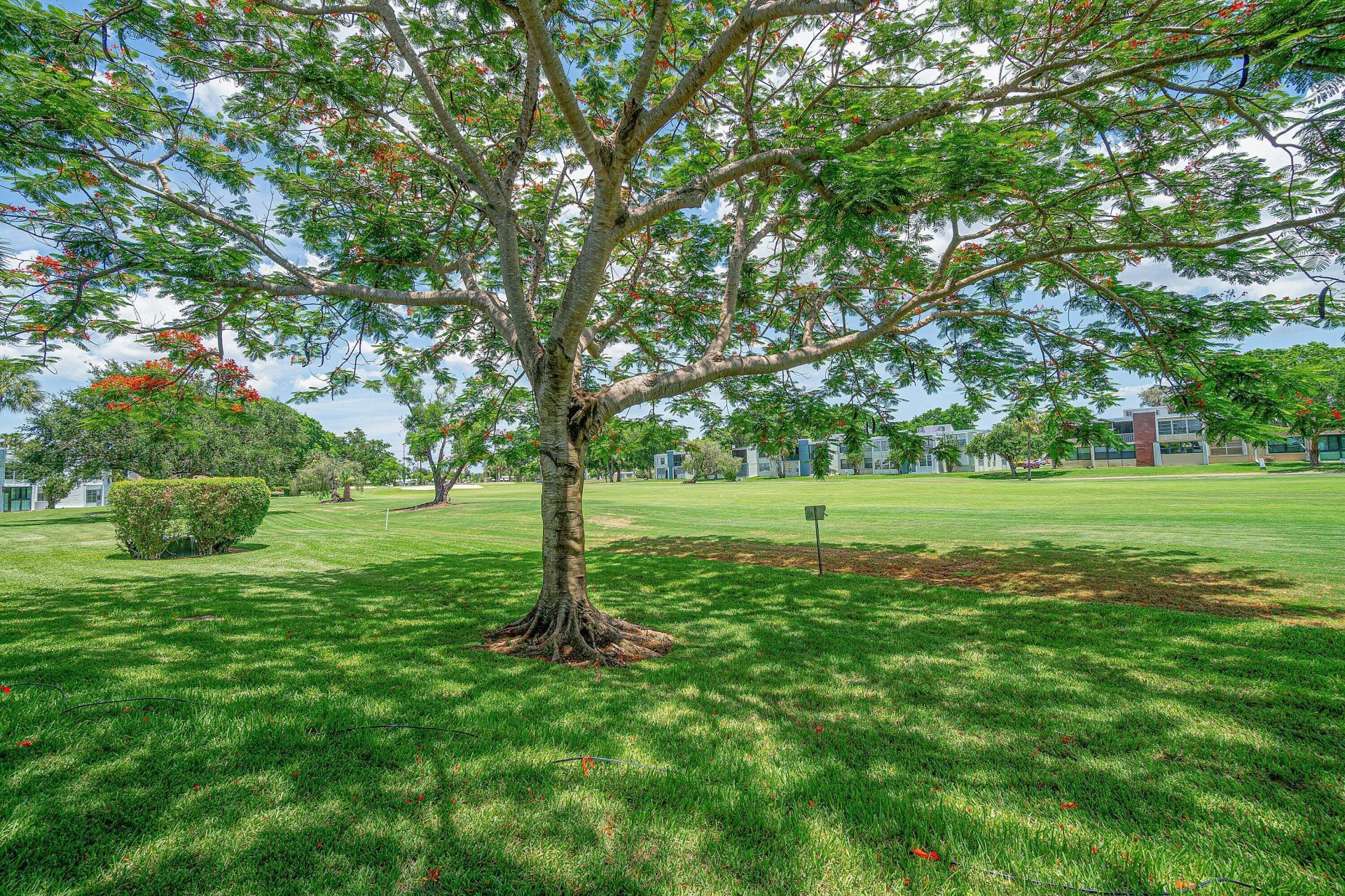 7380 NW 18th Street, Unit 108, Margate, FL 33063 Photo