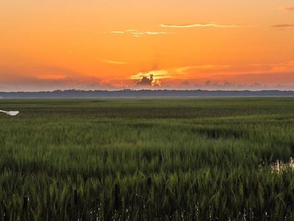 103 Carousers Cove, Saint Marys, GA 31558