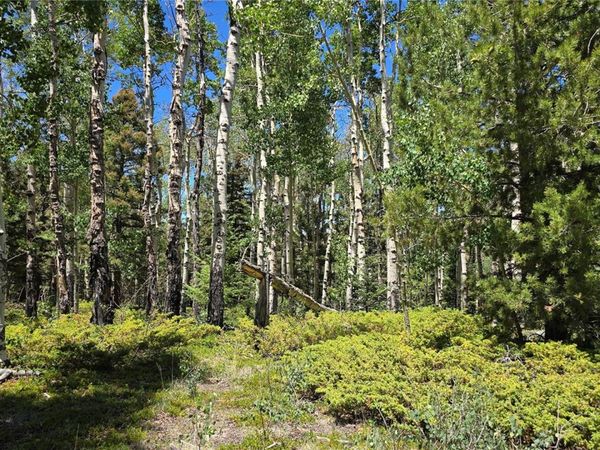 Lot 6748 Starkweather Road , San Luis, CO 81152