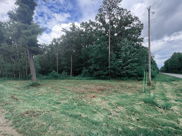 N Flint Road, Roscommon, MI 48653