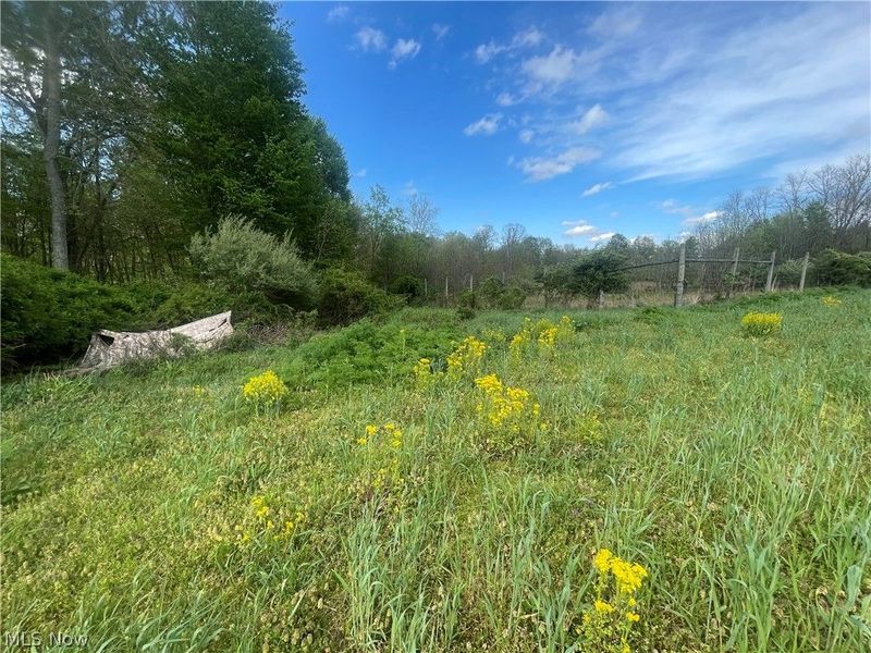 Mount Vernon, OH 43050 Photo 30