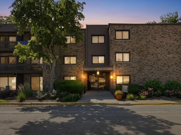 1100 E Randville Drive, Unit 203, Palatine, IL 60074
