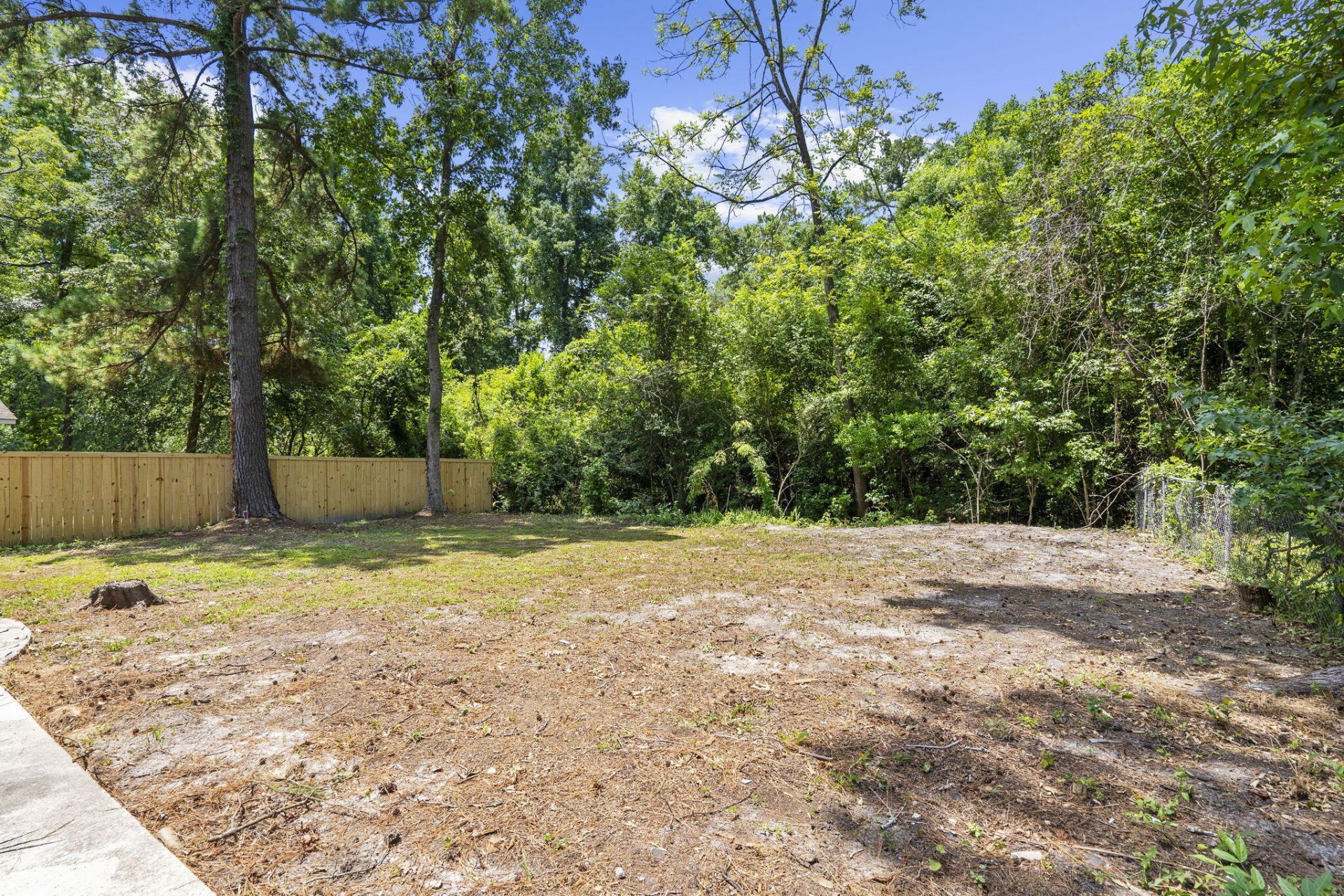 126 Hope Drive Photo 4