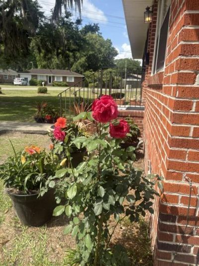 201 Clarine Drive Photo 7