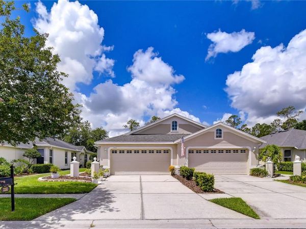 3332 CHAPEL CREEK CIRCLE, WESLEY CHAPEL, FL 33544