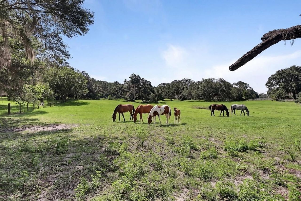 900 E Kicklighter (5 +- Acres) Road, Lake Helen, FL 32744 Photo