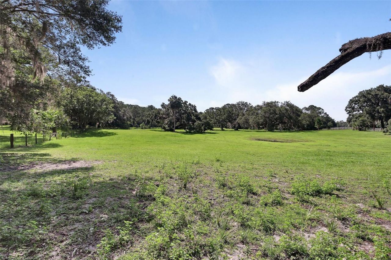 900 E Kicklighter (5 +- Acres) Road, Lake Helen, FL 32744 Photo