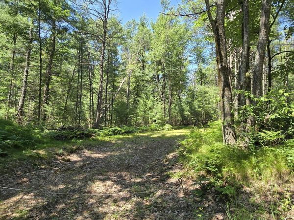 5 AC W Maplehurst Drive, Roscommon, MI 48653