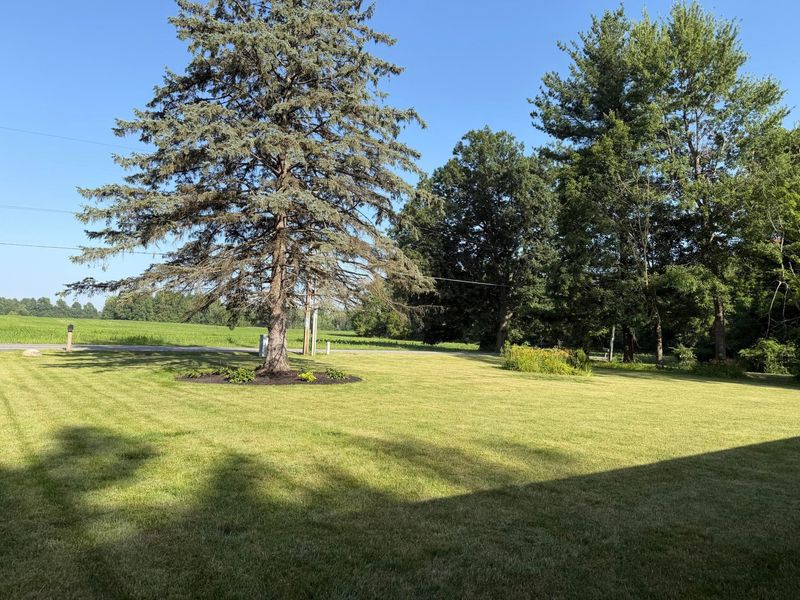 8909 Peter Hoover Road , New Albany, OH 43054 Photo 8
