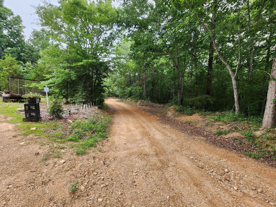 Property Image 18