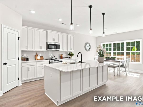 20944 English Ivy Lane, Athens, AL 35611