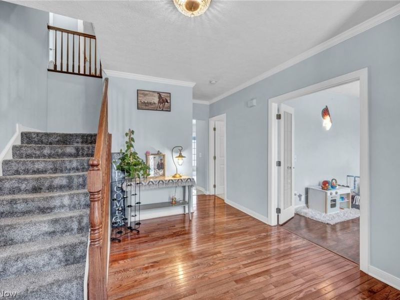 1273 Muchney Circle, Akron, OH 44312 Photo 3