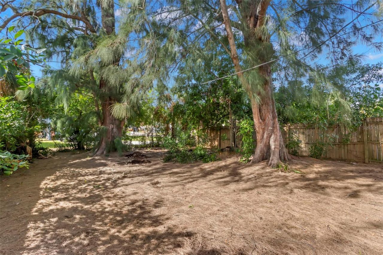 1524 Arizona Avenue Ne, Saint Petersburg, FL 33703 Photo