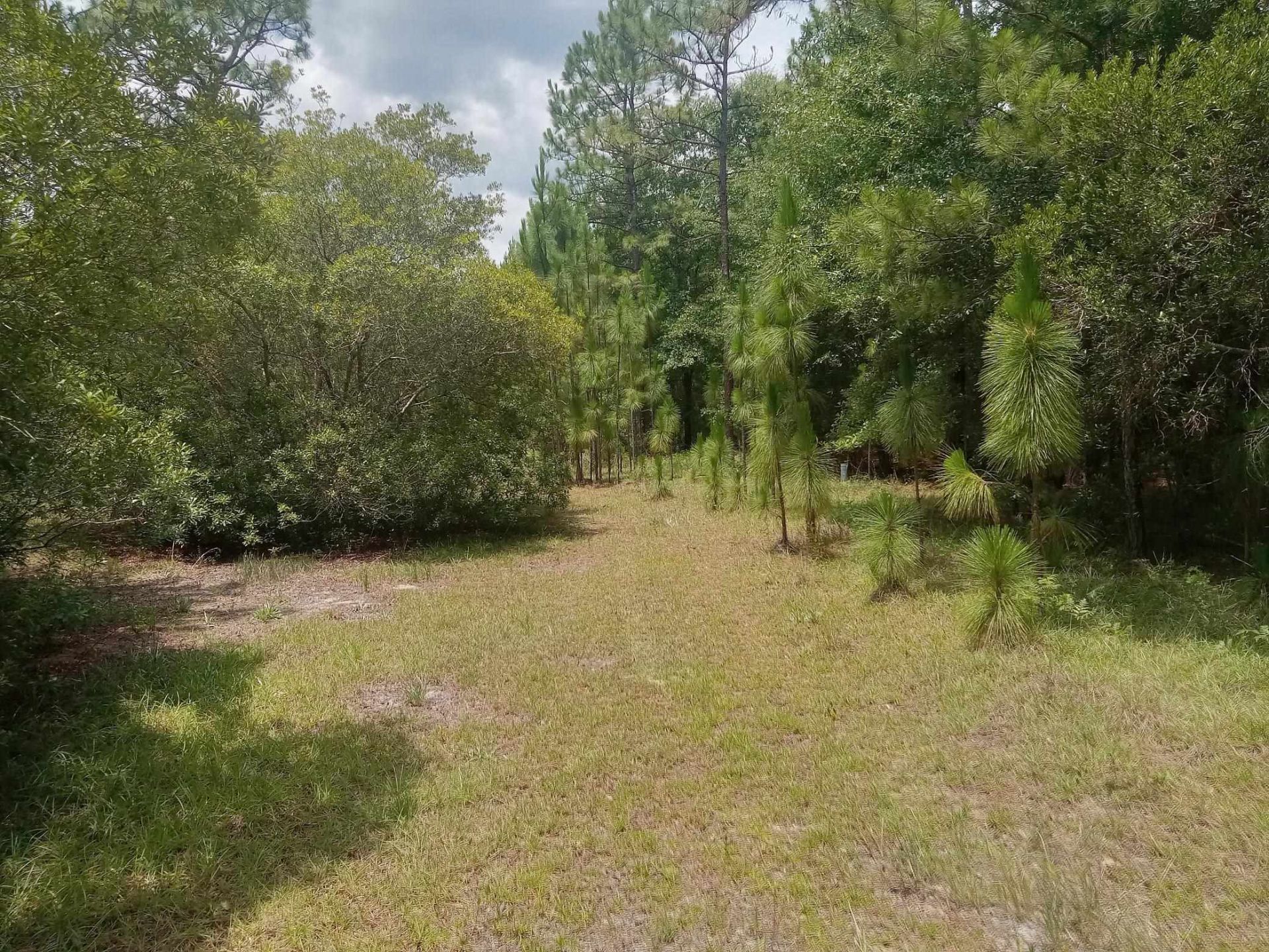 Lot 1038 Kilsock Dr. Photo 4